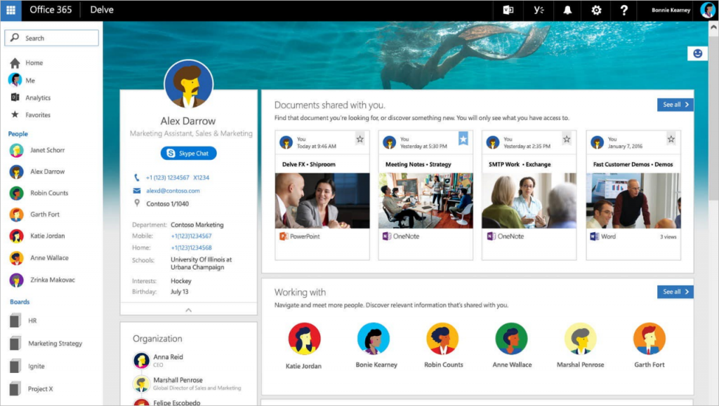 Screenshot of initial version of Microsoft Delve