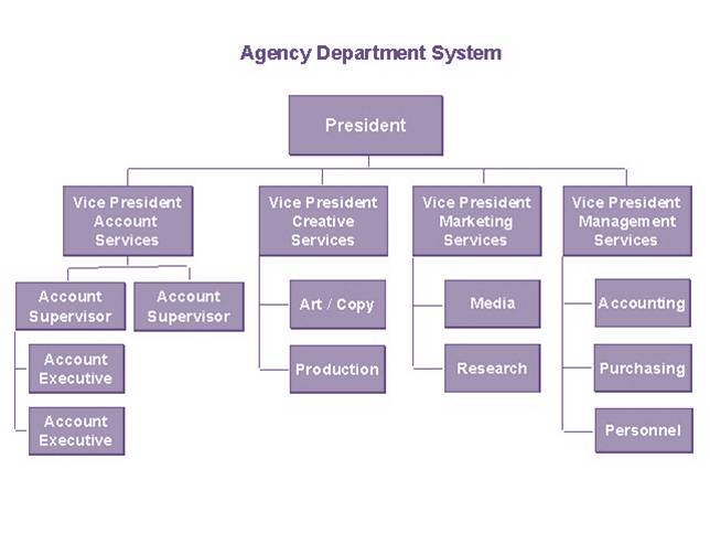 Functional hybrid organizational chart