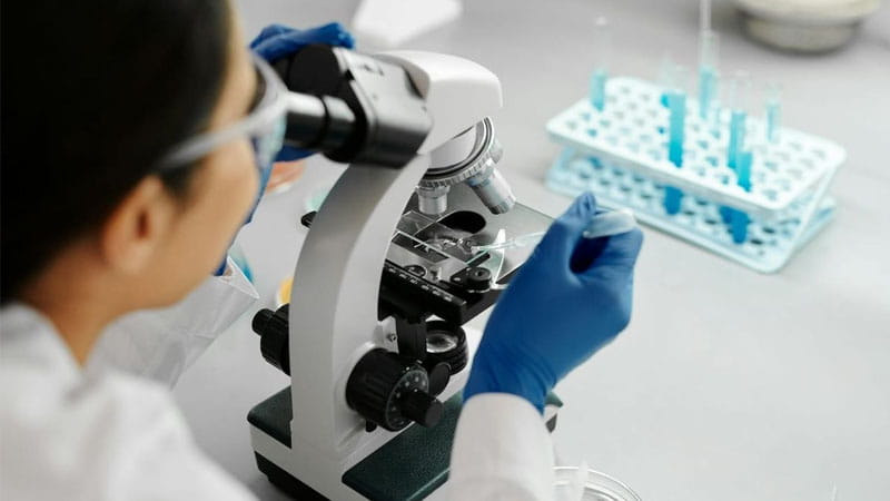 case study of DP Clinical and OneDirectory