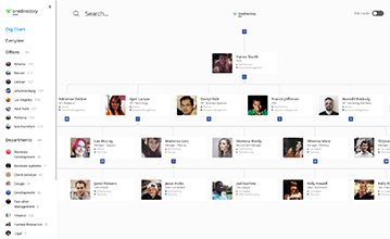 Org chart full view